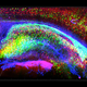 Image for article titled Scientists can now turn brains invisible